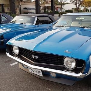 Meet your Posher, Lori